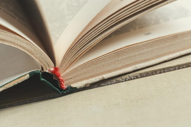 Close-up of an open book.