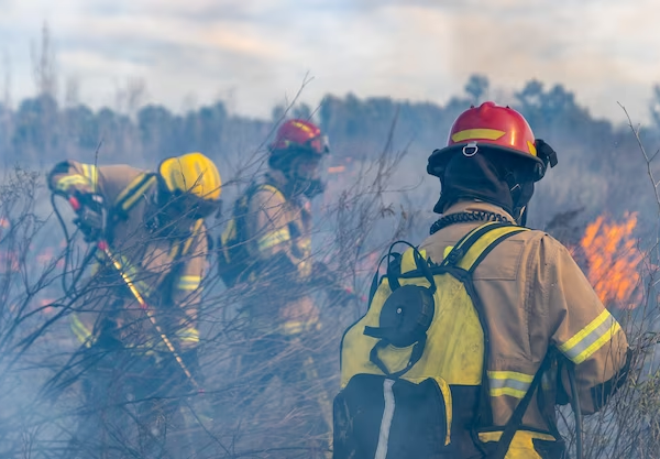 The Fiery Truth About Wildland Firefighter Salaries